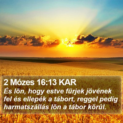 2 Mózes 16:13 KAR Bible Verse Image
