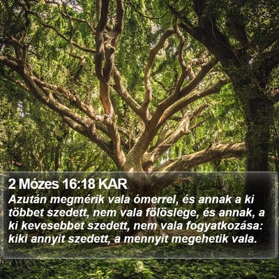 2 Mózes 16:18 KAR Bible Verse Image