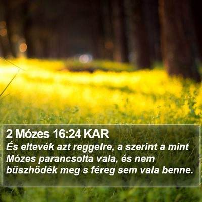 2 Mózes 16:24 KAR Bible Verse Image