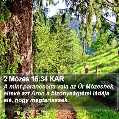 2 Mózes 16:34 KAR Bible Verse Image