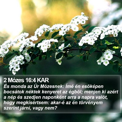 2 Mózes 16:4 KAR Bible Verse Image