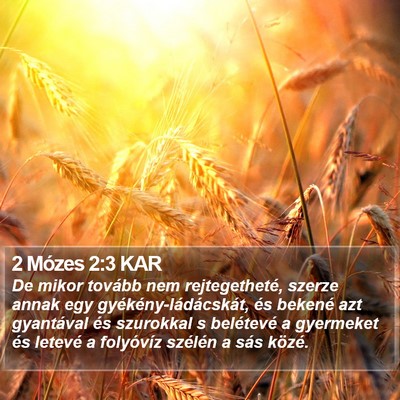 2 Mózes 2:3 KAR Bible Verse Image