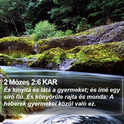 2 Mózes 2:6 KAR Bible Verse Image