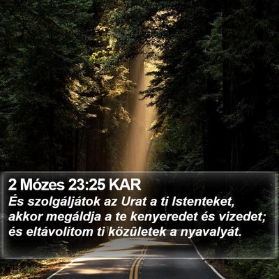 2 Mózes 23:25 KAR Bible Verse Image