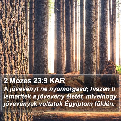 2 Mózes 23:9 KAR Bible Verse Image
