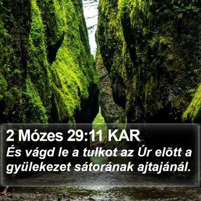 2 Mózes 29:11 KAR Bible Verse Image