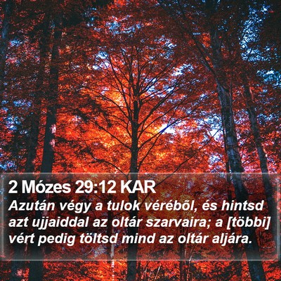 2 Mózes 29:12 KAR Bible Verse Image