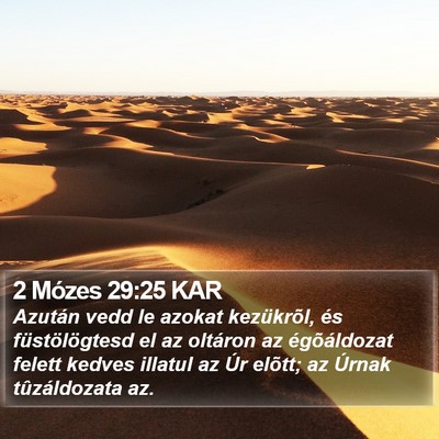 2 Mózes 29:25 KAR Bible Verse Image
