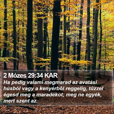 2 Mózes 29:34 KAR Bible Verse Image