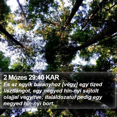 2 Mózes 29:40 KAR Bible Verse Image