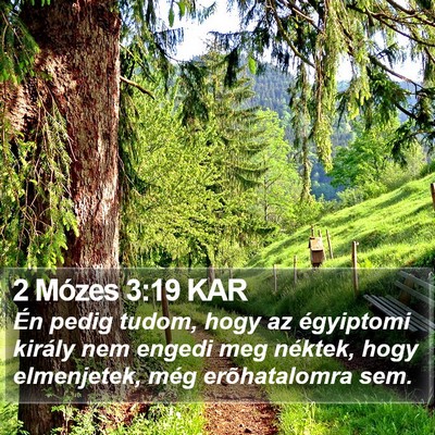 2 Mózes 3:19 KAR Bible Verse Image