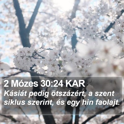 2 Mózes 30:24 KAR Bible Verse Image