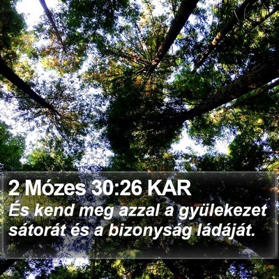 2 Mózes 30:26 KAR Bible Verse Image
