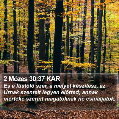 2 Mózes 30:37 KAR Bible Verse Image