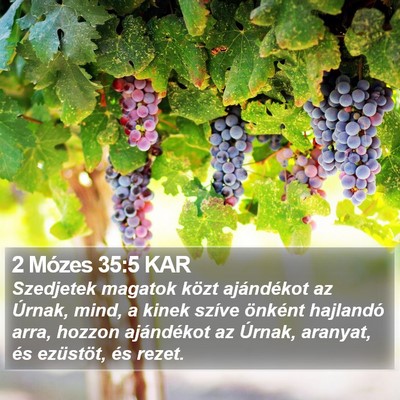 2 Mózes 35:5 KAR Bible Verse Image