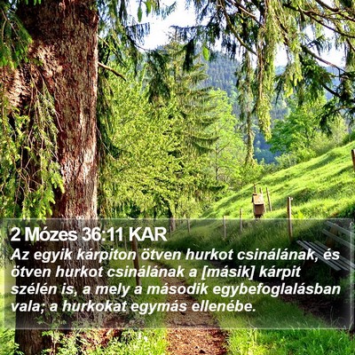 2 Mózes 36:11 KAR Bible Verse Image