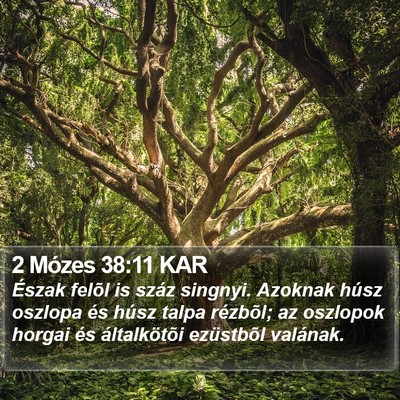2 Mózes 38:11 KAR Bible Verse Image