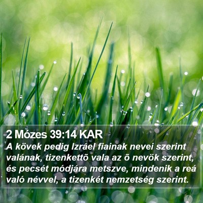 2 Mózes 39:14 KAR Bible Verse Image