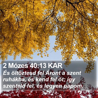 2 Mózes 40:13 KAR Bible Verse Image