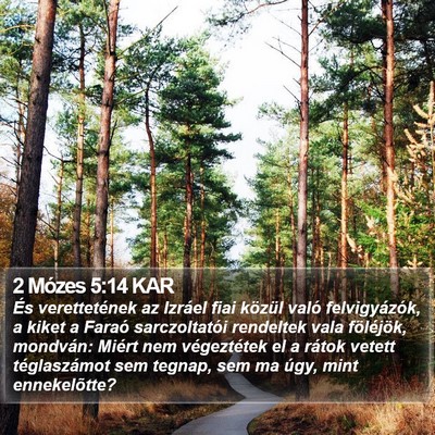 2 Mózes 5:14 KAR Bible Verse Image