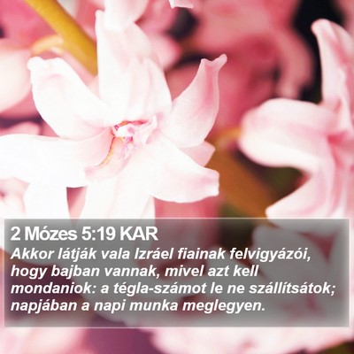 2 Mózes 5:19 KAR Bible Verse Image