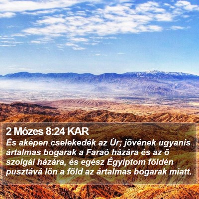 2 Mózes 8:24 KAR Bible Verse Image