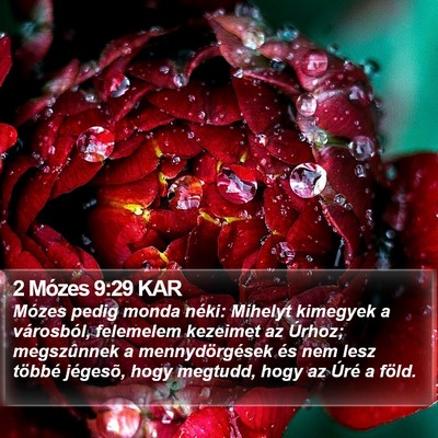 2 Mózes 9:29 KAR Bible Verse Image