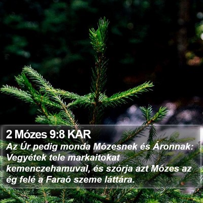 2 Mózes 9:8 KAR Bible Verse Image