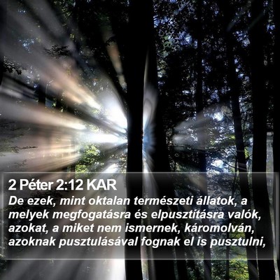 2 Péter 2:12 KAR Bible Verse Image