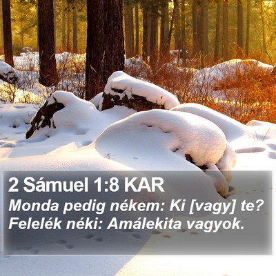 2 Sámuel 1:8 KAR Bible Verse Image