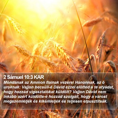 2 Sámuel 10:3 KAR Bible Verse Image