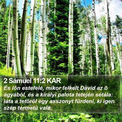 2 Sámuel 11:2 KAR Bible Verse Image