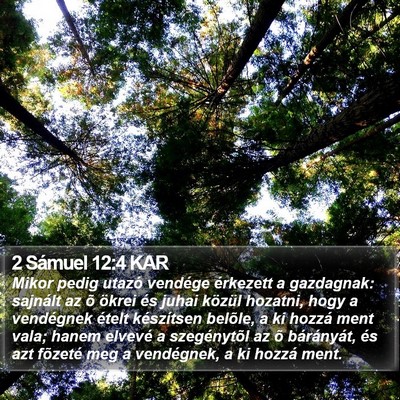 2 Sámuel 12:4 KAR Bible Verse Image
