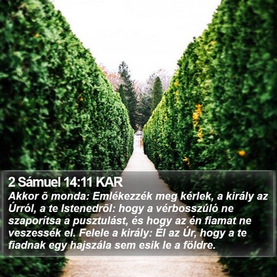 2 Sámuel 14:11 KAR Bible Verse Image