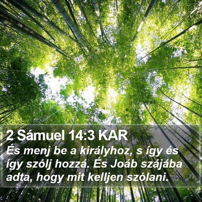 2 Sámuel 14:3 KAR Bible Verse Image