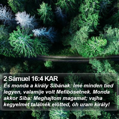 2 Sámuel 16:4 KAR Bible Verse Image