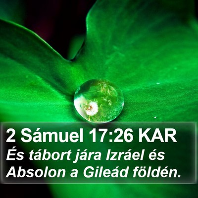 2 Sámuel 17:26 KAR Bible Verse Image
