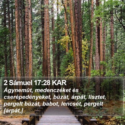 2 Sámuel 17:28 KAR Bible Verse Image