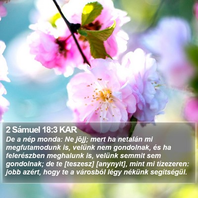 2 Sámuel 18:3 KAR Bible Verse Image
