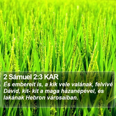 2 Sámuel 2:3 KAR Bible Verse Image