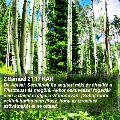 2 Sámuel 21:17 KAR Bible Verse Image