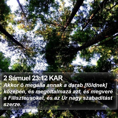 2 Sámuel 23:12 KAR Bible Verse Image