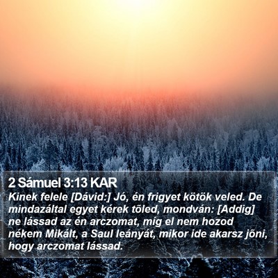 2 Sámuel 3:13 KAR Bible Verse Image