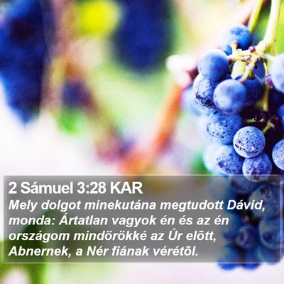 2 Sámuel 3:28 KAR Bible Verse Image