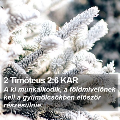 2 Timóteus 2:6 KAR Bible Verse Image