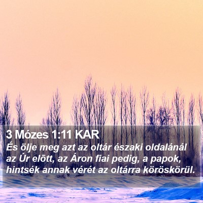 3 Mózes 1:11 KAR Bible Verse Image