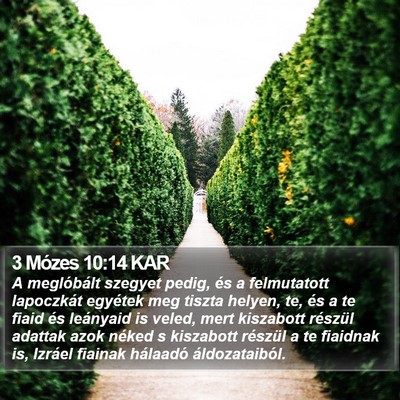 3 Mózes 10:14 KAR Bible Verse Image