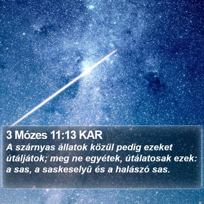 3 Mózes 11:13 KAR Bible Verse Image