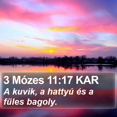 3 Mózes 11:17 KAR Bible Verse Image