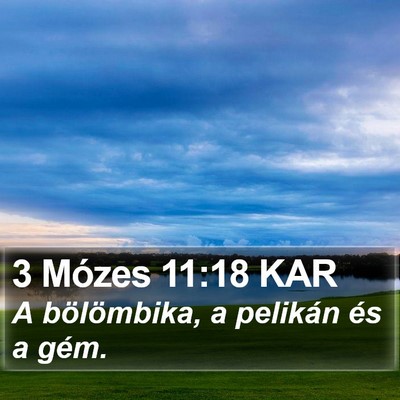 3 Mózes 11:18 KAR Bible Verse Image